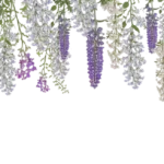 motion-art-3-orn-atas-1.webp